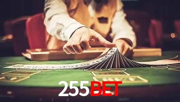 Sports Statistics 255bet